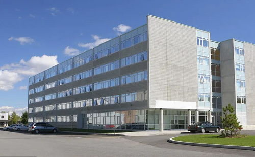 掛靠施工中，滿足特定條件即可直接向發(fā)包人主張工程款